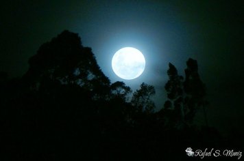 Foto - Pedra Bela