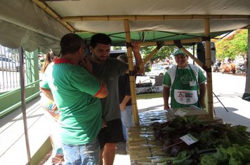 Foto - FEIRA DO PRODUTOR RURAL