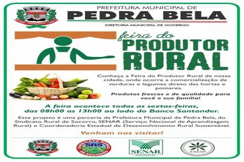 Foto - FEIRA DO PRODUTOR RURAL