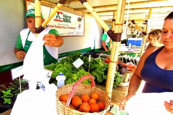 Foto - FEIRA DO PRODUTOR RURAL