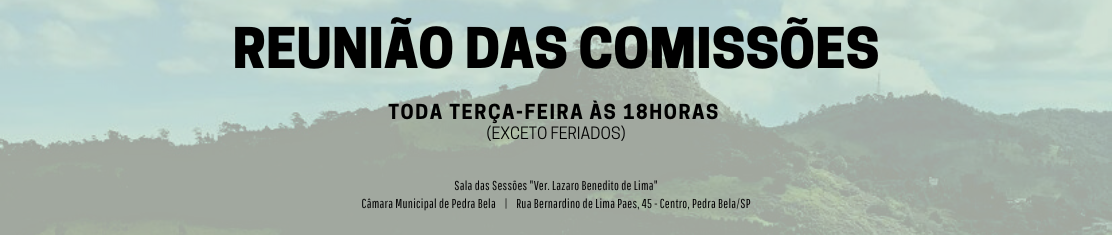 Reunião das Comissões